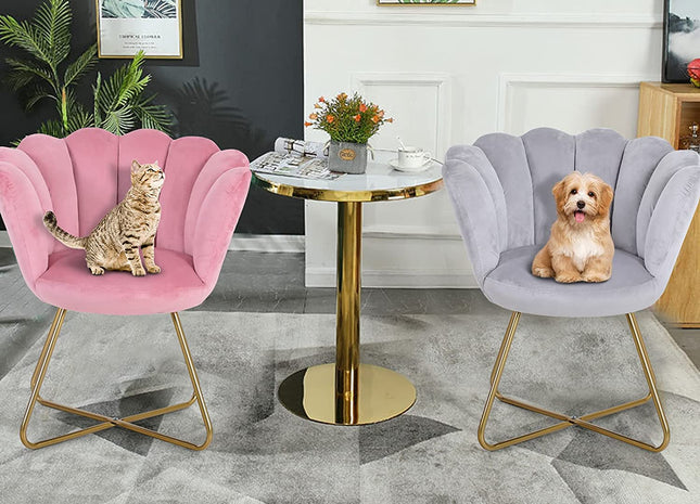 WOODENCENTURY HOME Vanity Chair Velvet Accent Chair for Living Room Leisure Armchair Modern Bedroom Home Desk Dining Office Chairs Shell Shaped Chairs Aesthetics